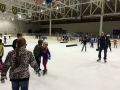 2015 Learn to Skate Group Lessons