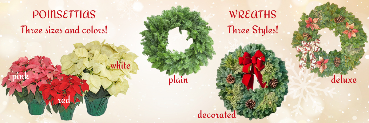 wreath and poinsettia fundraiser